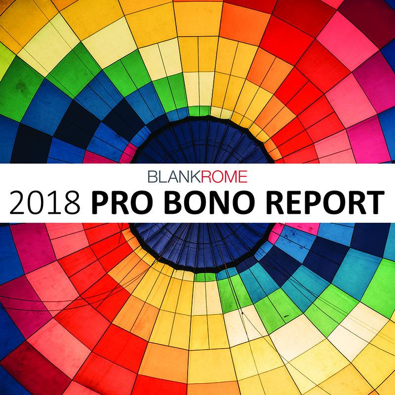 2018 Pro Bono Report